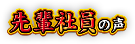 先輩社員の声